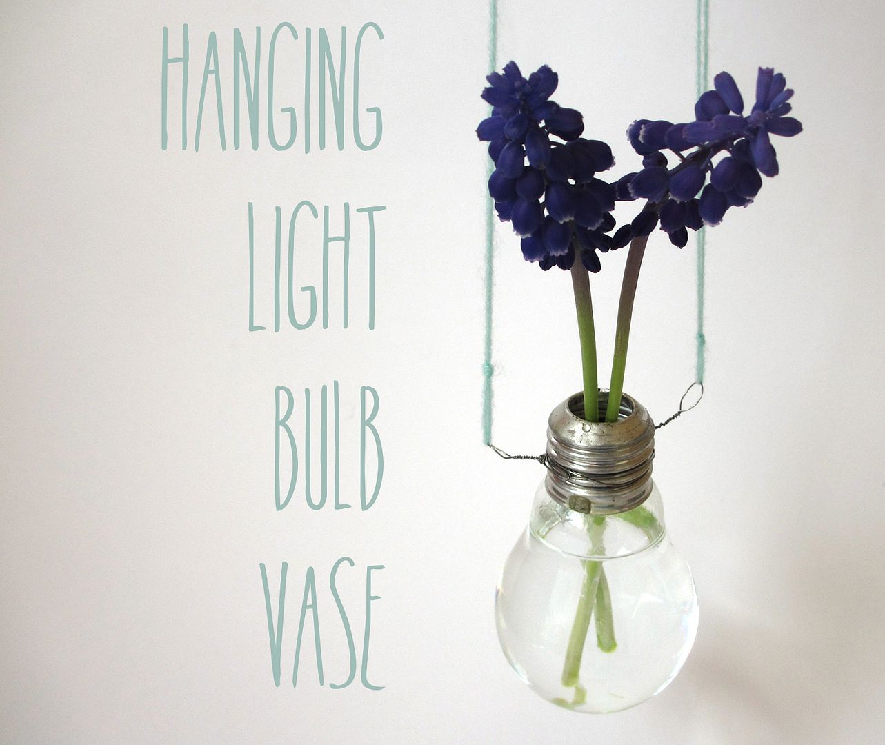 Hanging light bulb vase Magical Daydream